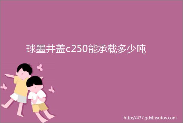 球墨井盖c250能承载多少吨