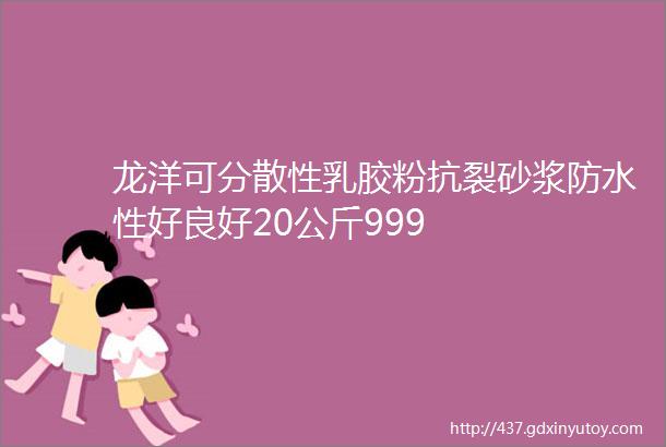 龙洋可分散性乳胶粉抗裂砂浆防水性好良好20公斤999