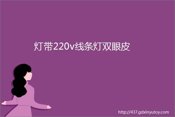 灯带220v线条灯双眼皮