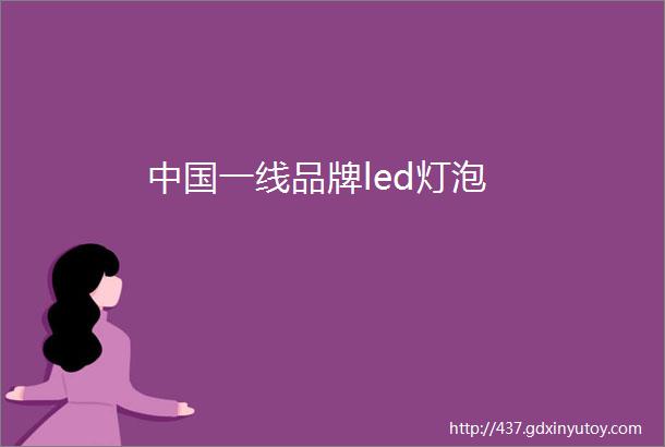 中国一线品牌led灯泡