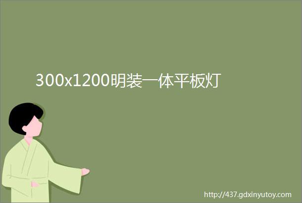 300x1200明装一体平板灯