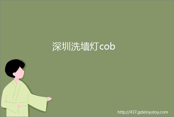 深圳洗墙灯cob