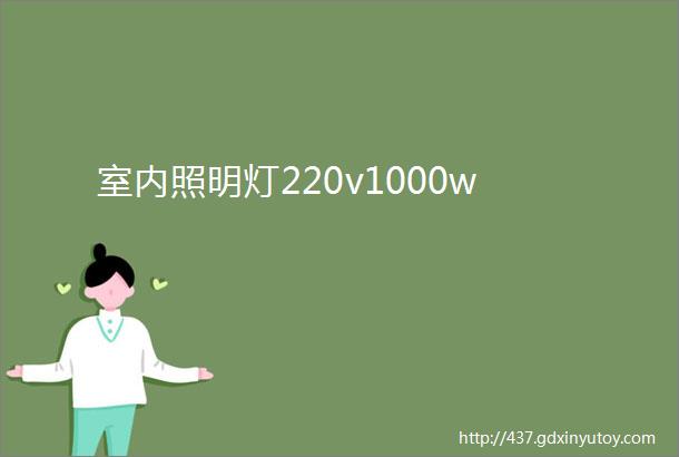 室内照明灯220v1000w