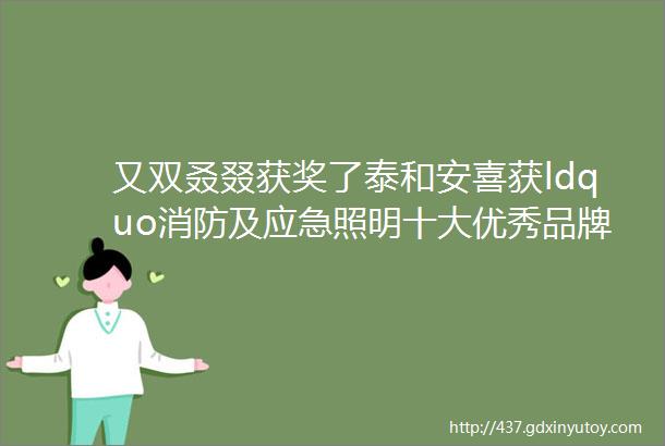 又双叒叕获奖了泰和安喜获ldquo消防及应急照明十大优秀品牌rdquo和ldquo安全防范十大优秀品牌rdquo两项殊荣