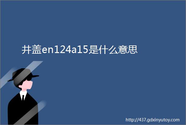 井盖en124a15是什么意思