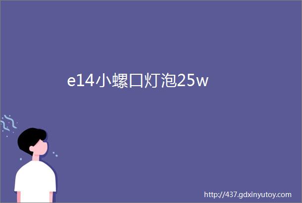 e14小螺口灯泡25w