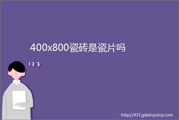 400x800瓷砖是瓷片吗