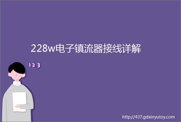 228w电子镇流器接线详解