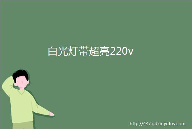 白光灯带超亮220v