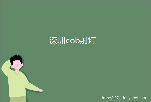 深圳cob射灯