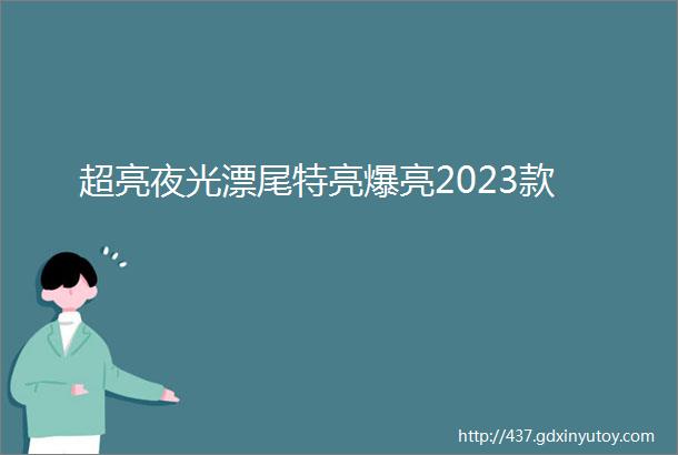 超亮夜光漂尾特亮爆亮2023款