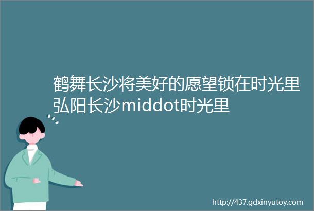 鹤舞长沙将美好的愿望锁在时光里弘阳长沙middot时光里