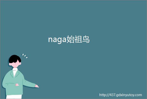 naga始祖鸟