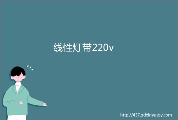 线性灯带220v